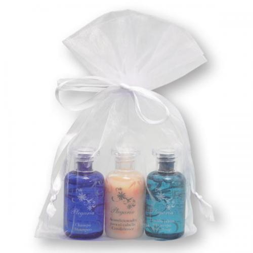 120セット プレガリアギフトセット