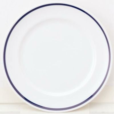 10個セット ワイドリム20cm