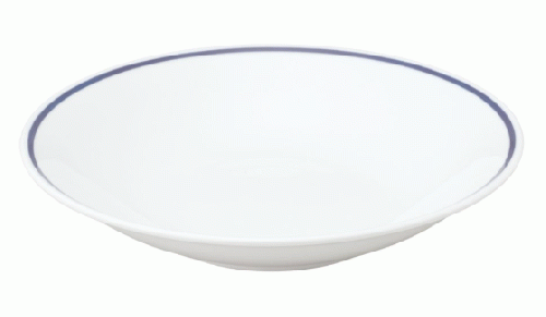 10個セット メタ 23cm 深皿