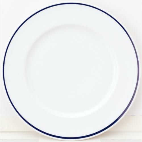 10個セット ワイドリム24cm