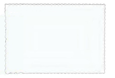 【受注生産】【業務用】【使い捨て】【ケース】尚美堂　フジナップ　テーブルマット特大　白　016400　355×510mm　2000枚(500枚×4袋)/ケース×1ケース　ホテル　レストラン　冠婚葬祭　テーブルセッティング