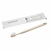 ハニービーH35 24穴　1000本/ケース*2ケース