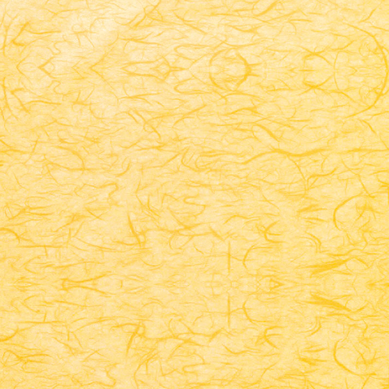 【業務用】【パン包材】大阪ポリエチレン販売　麦包ラミネートラッピングペーパー　No.141-Y(イエロー)　6515　400×600　250枚/ケース×2ケース